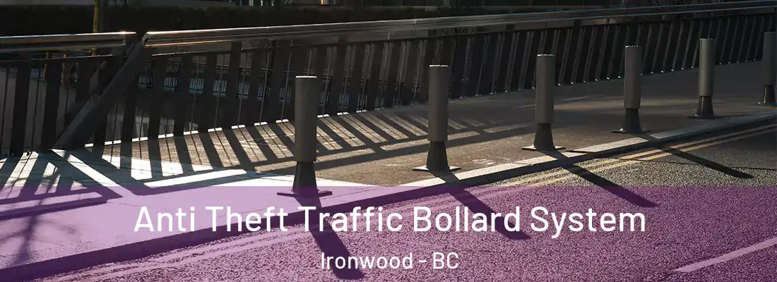 Anti Theft Traffic Bollard System Ironwood - BC