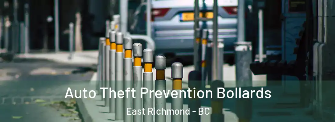  Auto Theft Prevention Bollards East Richmond - BC