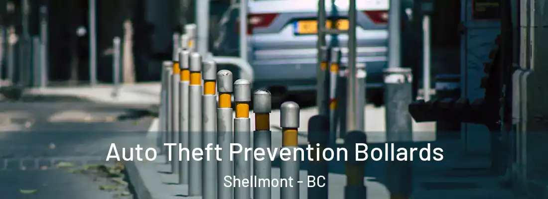  Auto Theft Prevention Bollards Shellmont - BC