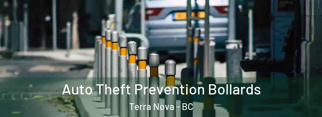  Auto Theft Prevention Bollards Terra Nova - BC