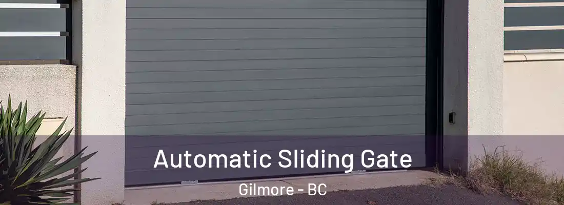  Automatic Sliding Gate Gilmore - BC