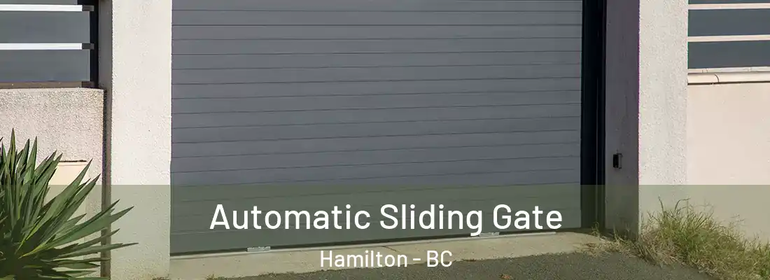  Automatic Sliding Gate Hamilton - BC