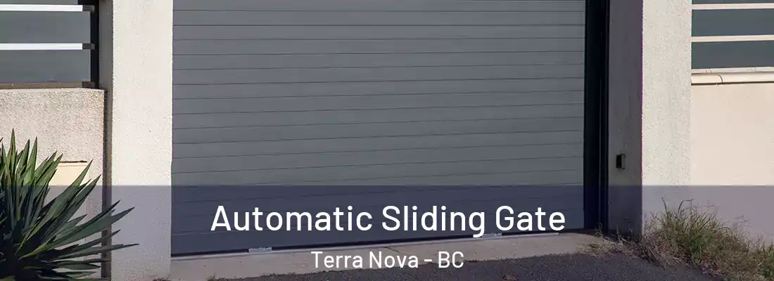  Automatic Sliding Gate Terra Nova - BC