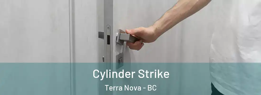  Cylinder Strike Terra Nova - BC