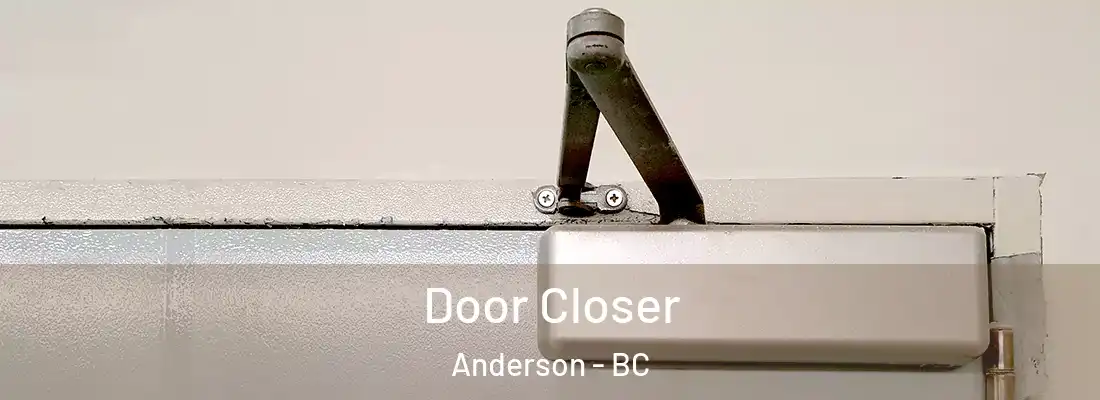  Door Closer Anderson - BC