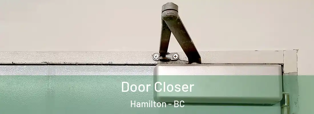  Door Closer Hamilton - BC