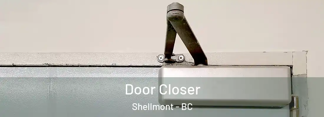  Door Closer Shellmont - BC