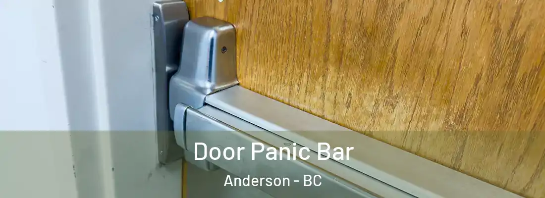  Door Panic Bar Anderson - BC