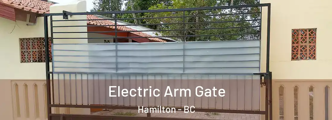  Electric Arm Gate Hamilton - BC