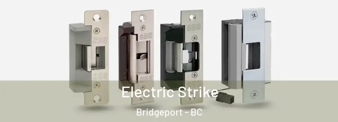  Electric Strike Bridgeport - BC