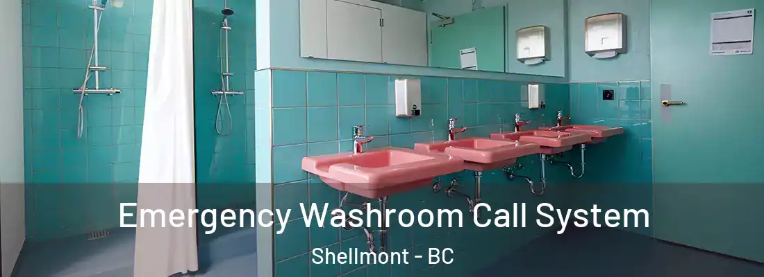  Emergency Washroom Call System Shellmont - BC