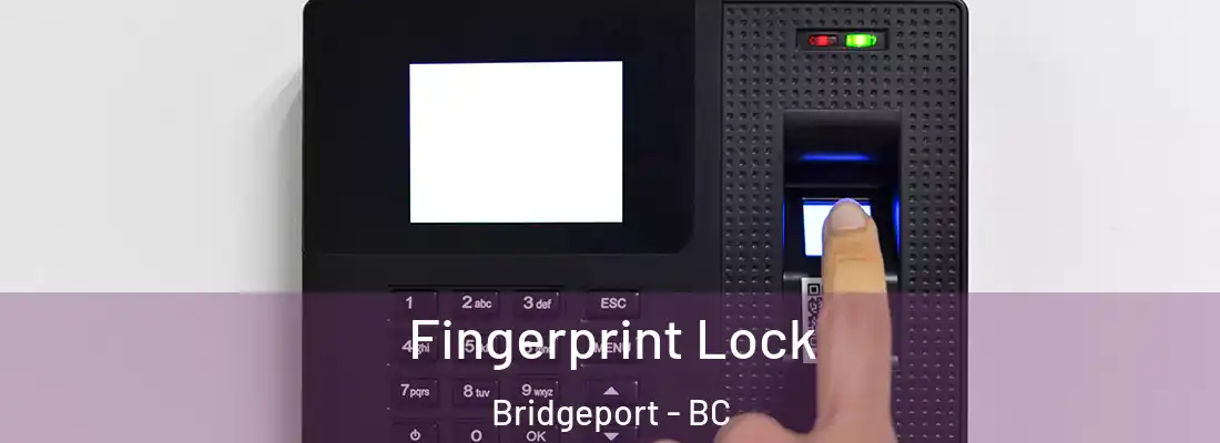  Fingerprint Lock Bridgeport - BC