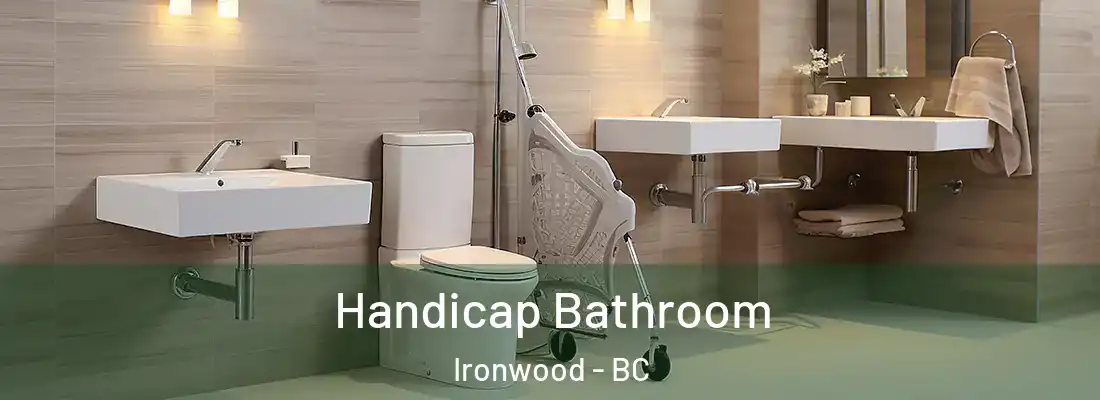  Handicap Bathroom Ironwood - BC