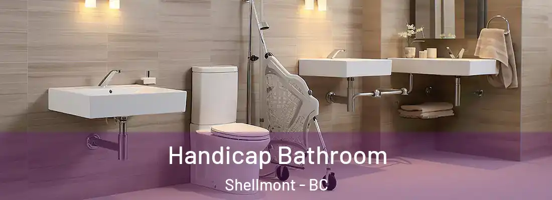  Handicap Bathroom Shellmont - BC