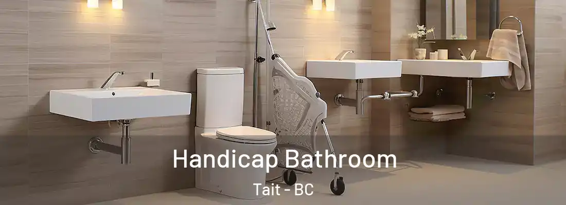  Handicap Bathroom Tait - BC