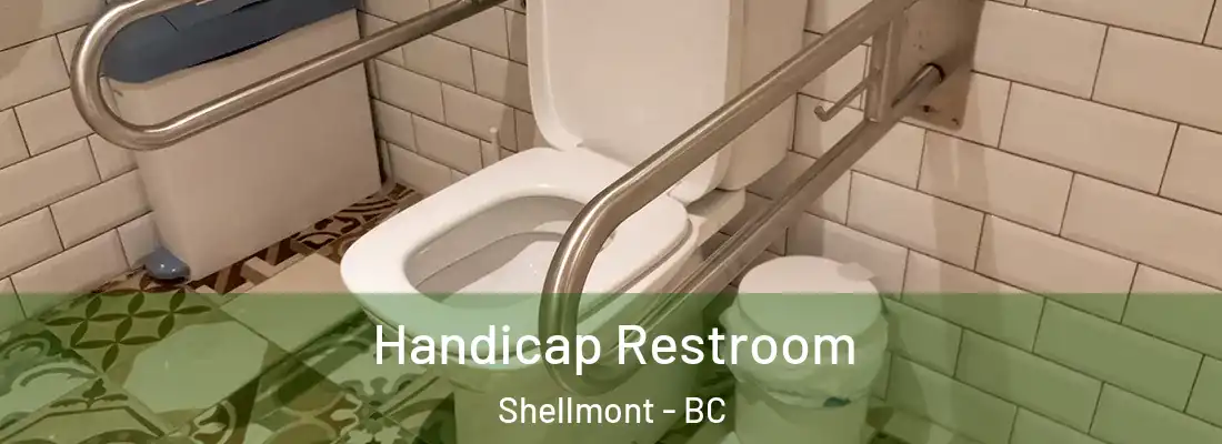  Handicap Restroom Shellmont - BC
