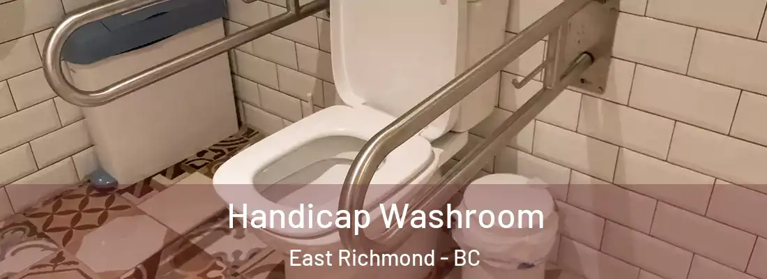  Handicap Washroom East Richmond - BC