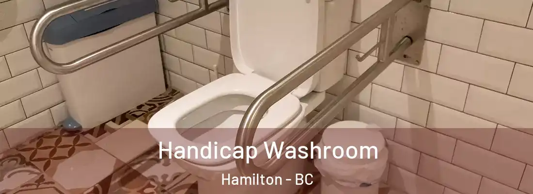  Handicap Washroom Hamilton - BC