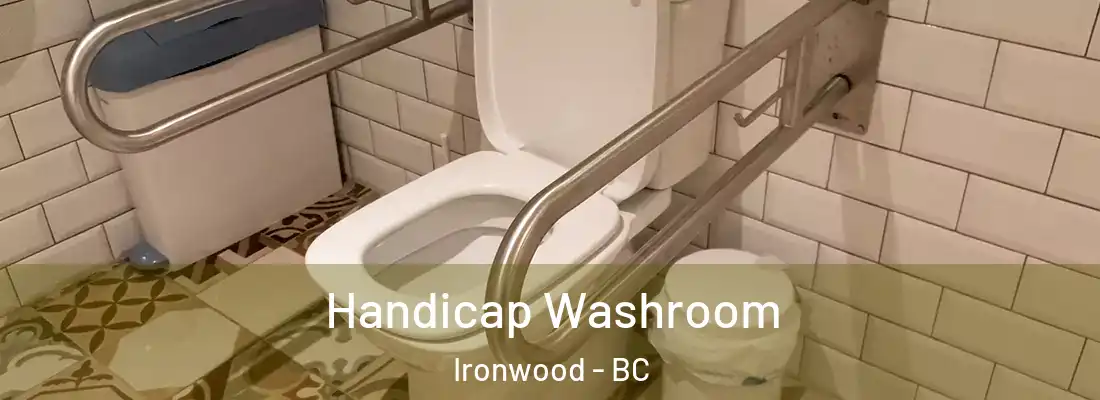  Handicap Washroom Ironwood - BC