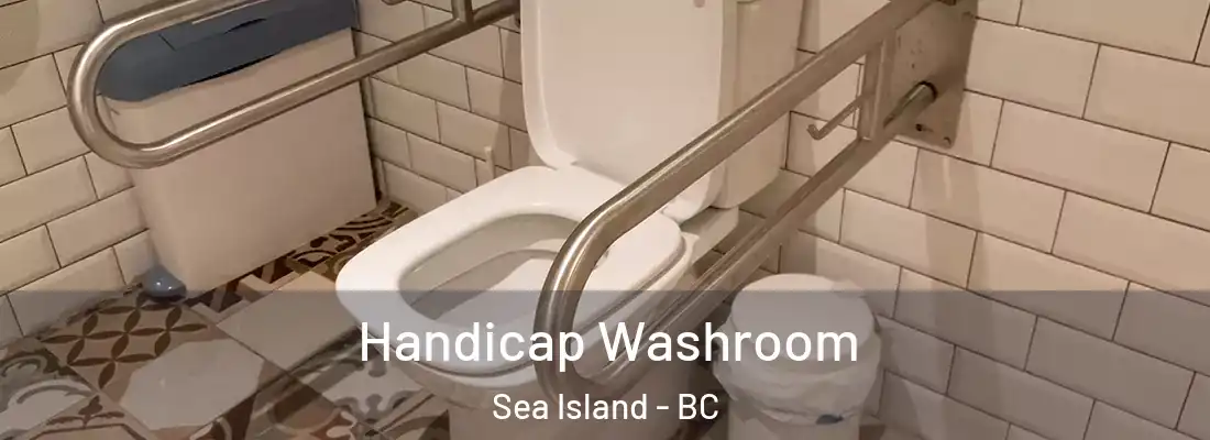  Handicap Washroom Sea Island - BC