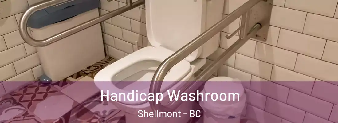  Handicap Washroom Shellmont - BC