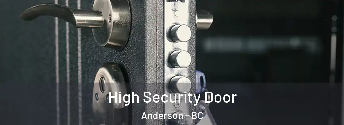  High Security Door Anderson - BC