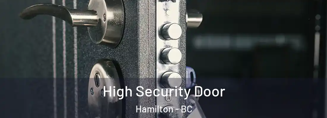  High Security Door Hamilton - BC