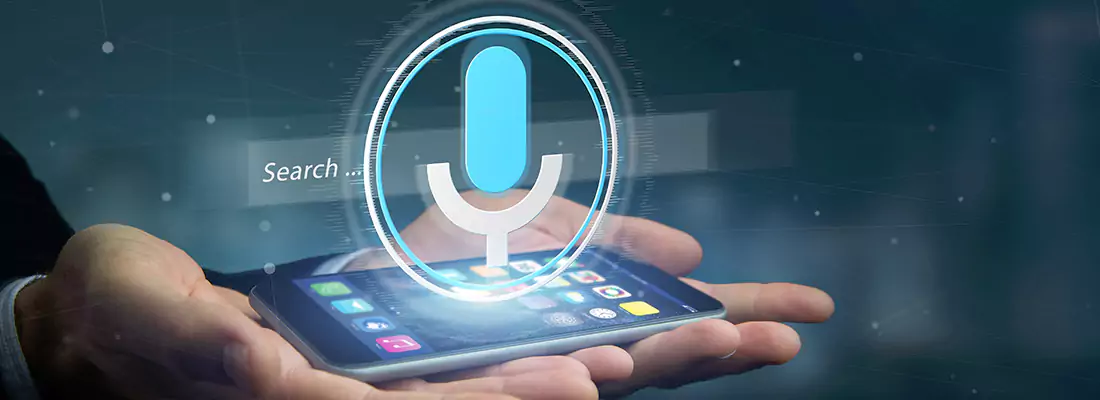 Enhance Security with Voice Recognition Access Systems in Anderson, BC