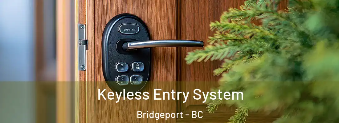  Keyless Entry System Bridgeport - BC