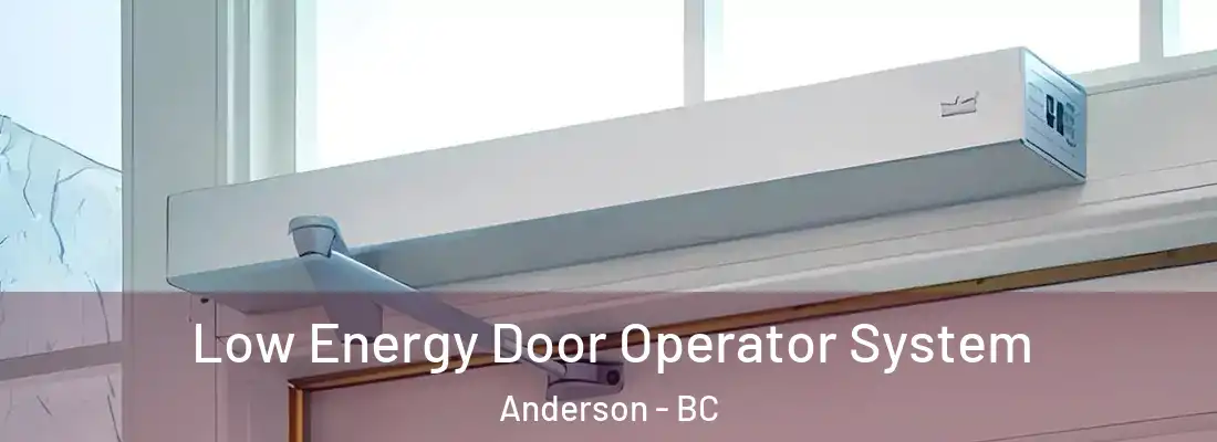  Low Energy Door Operator System Anderson - BC