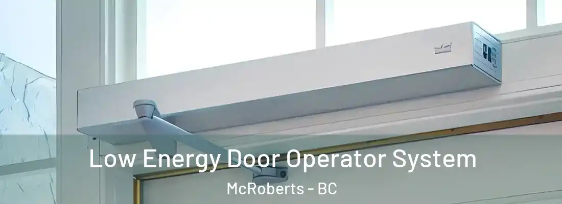  Low Energy Door Operator System McRoberts - BC