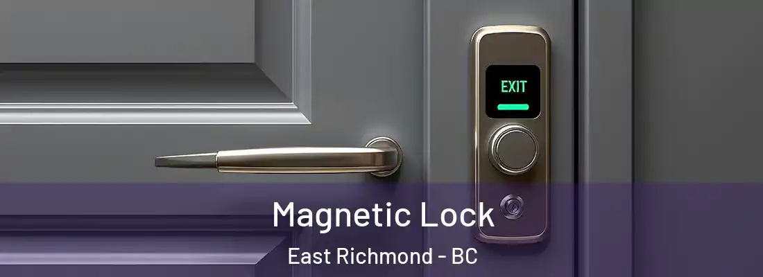 Magnetic Lock East Richmond - BC