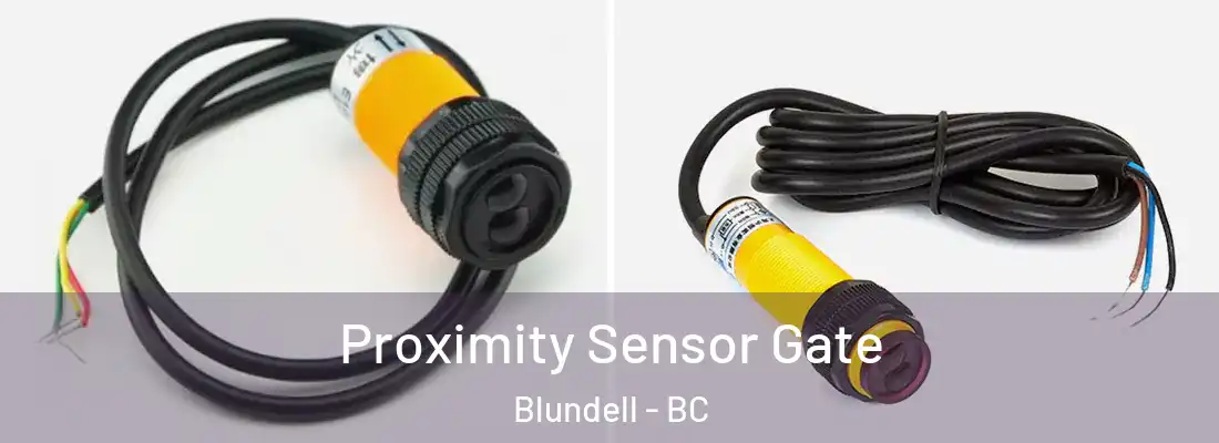  Proximity Sensor Gate Blundell - BC
