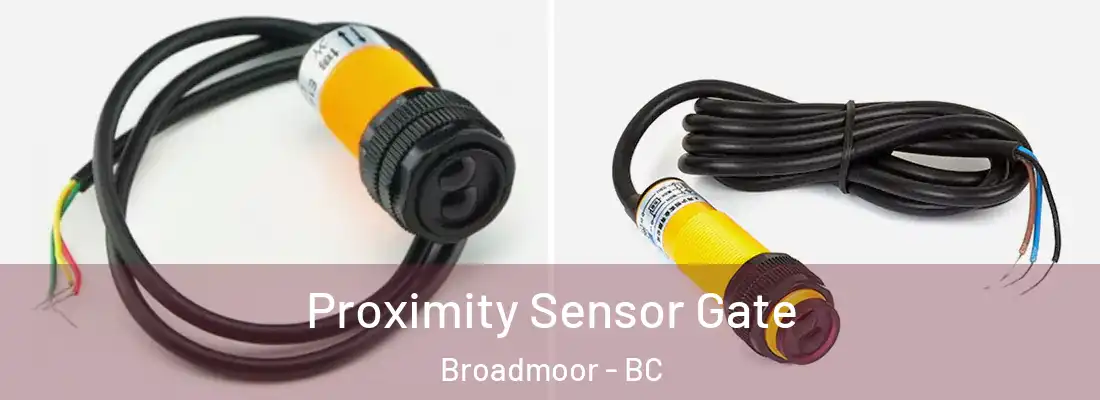  Proximity Sensor Gate Broadmoor - BC