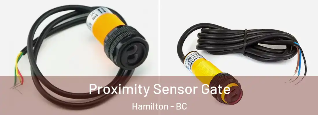  Proximity Sensor Gate Hamilton - BC