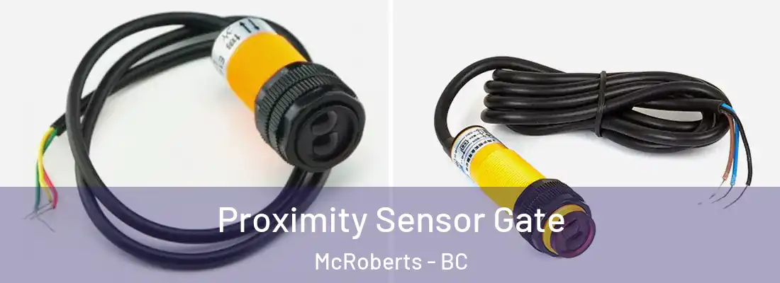  Proximity Sensor Gate McRoberts - BC
