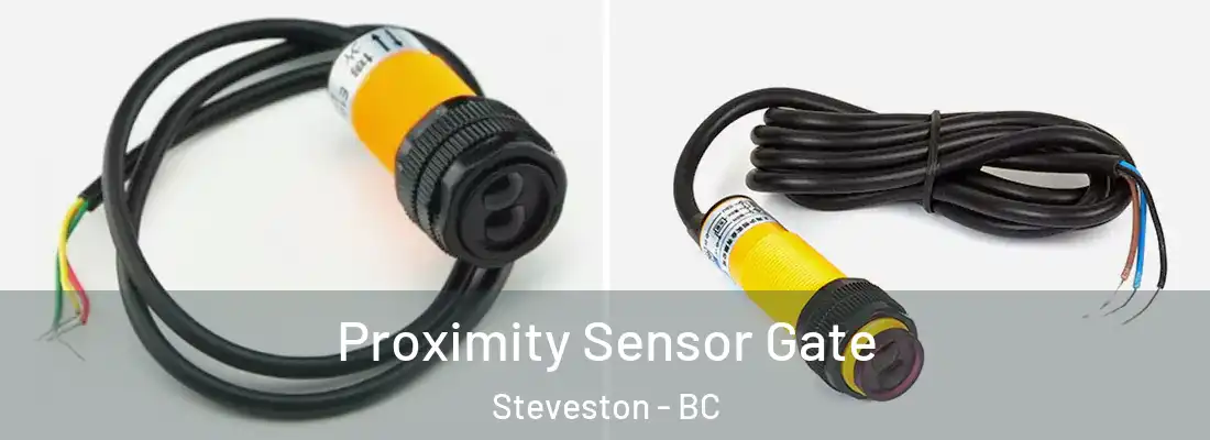  Proximity Sensor Gate Steveston - BC