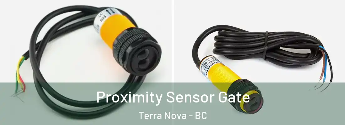  Proximity Sensor Gate Terra Nova - BC