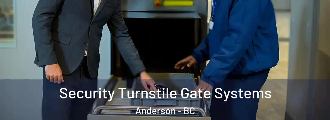  Security Turnstile Gate Systems Anderson - BC