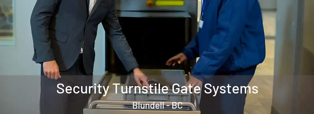  Security Turnstile Gate Systems Blundell - BC