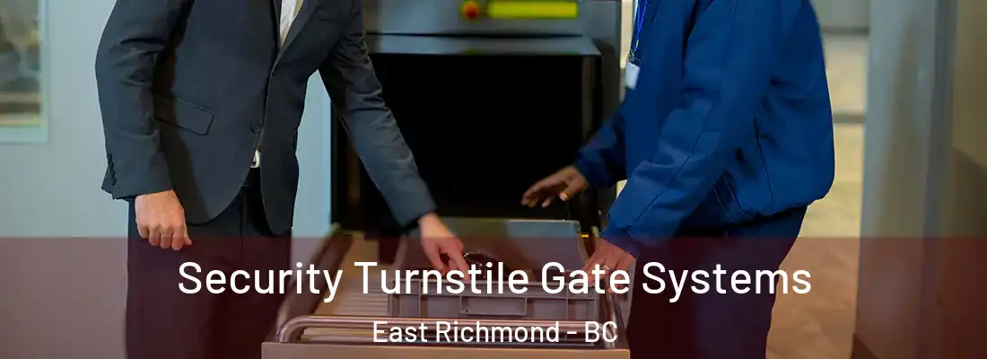  Security Turnstile Gate Systems East Richmond - BC