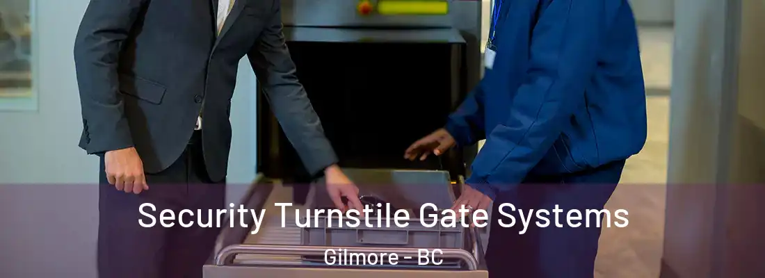  Security Turnstile Gate Systems Gilmore - BC