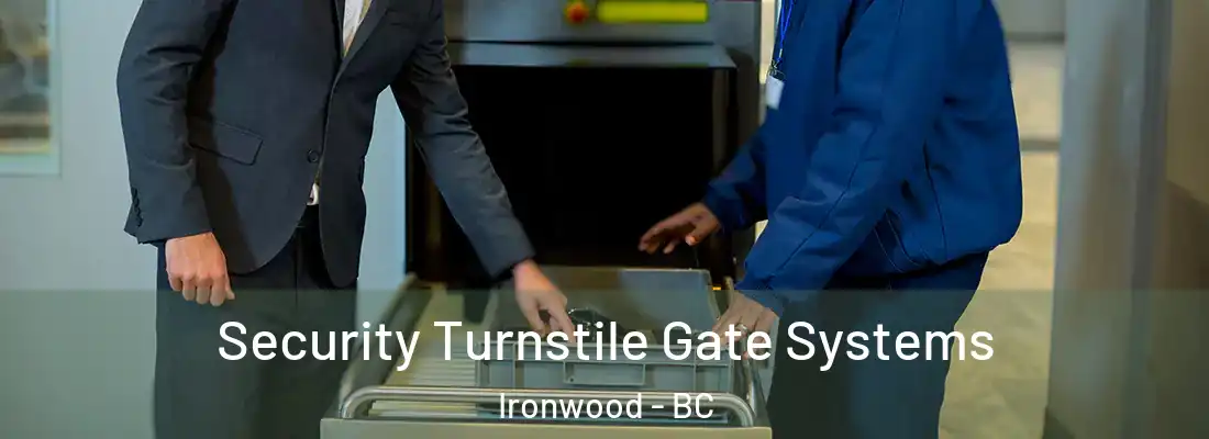  Security Turnstile Gate Systems Ironwood - BC