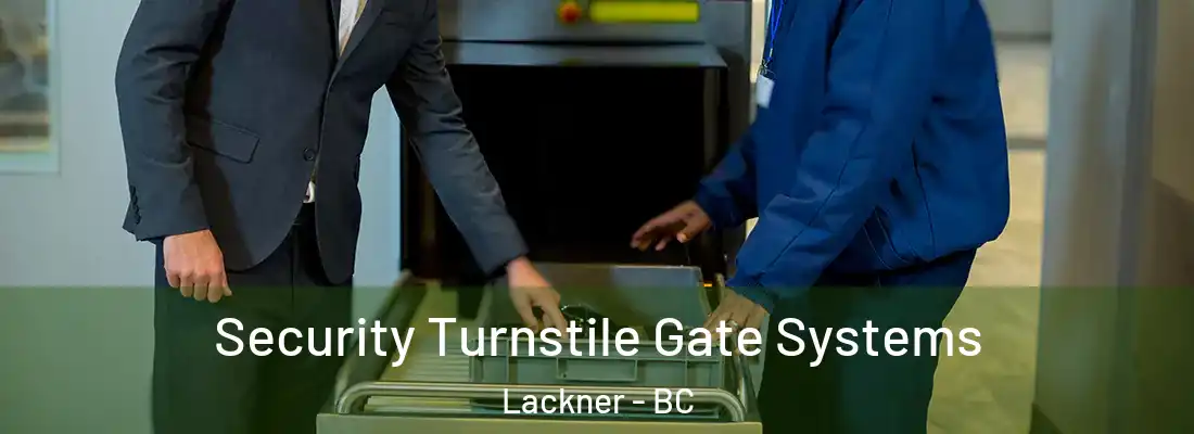  Security Turnstile Gate Systems Lackner - BC