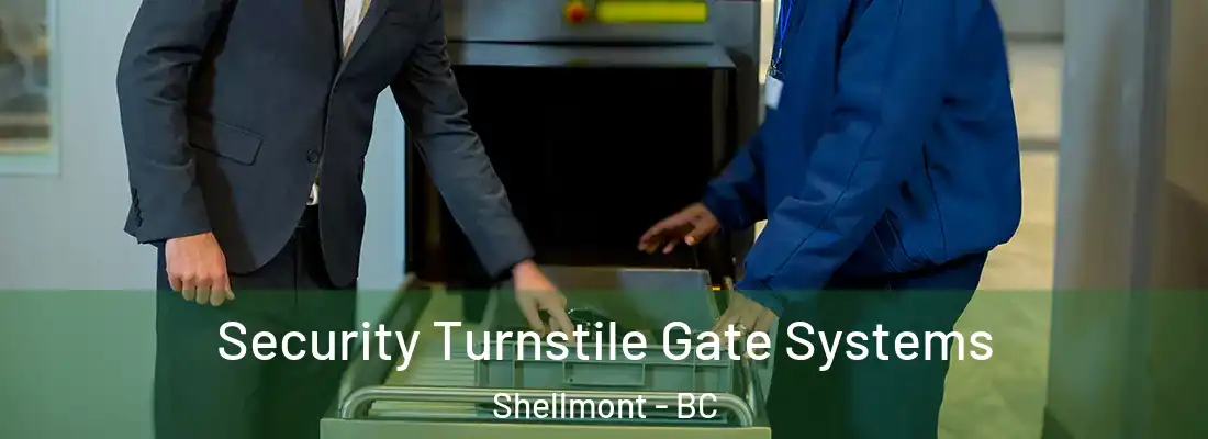  Security Turnstile Gate Systems Shellmont - BC