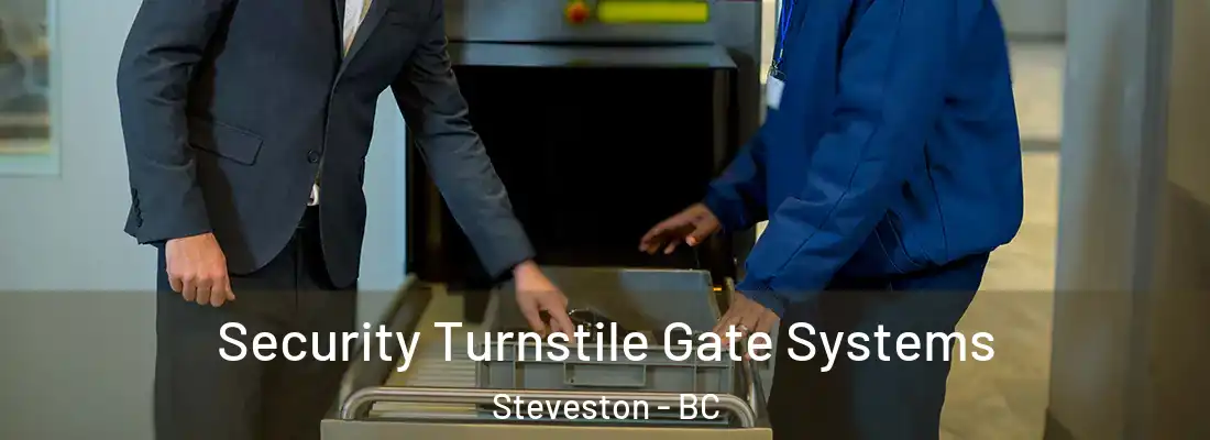  Security Turnstile Gate Systems Steveston - BC