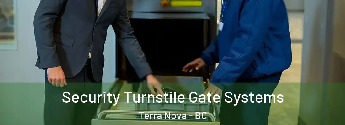  Security Turnstile Gate Systems Terra Nova - BC