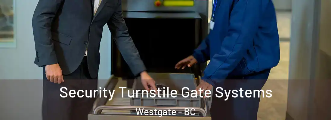  Security Turnstile Gate Systems Westgate - BC